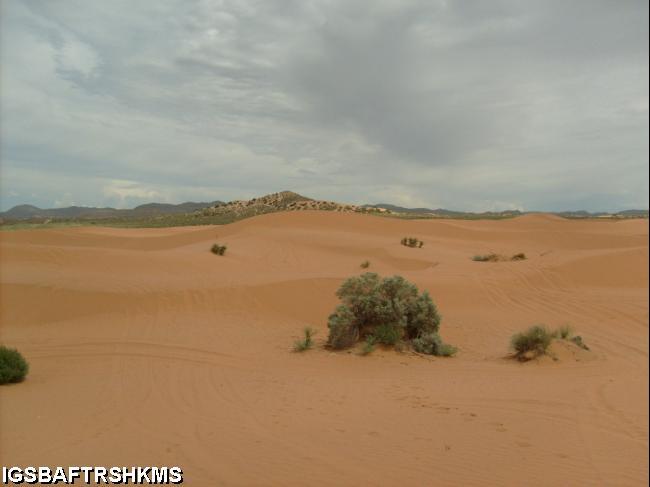 El Paso Dunes003.JPG