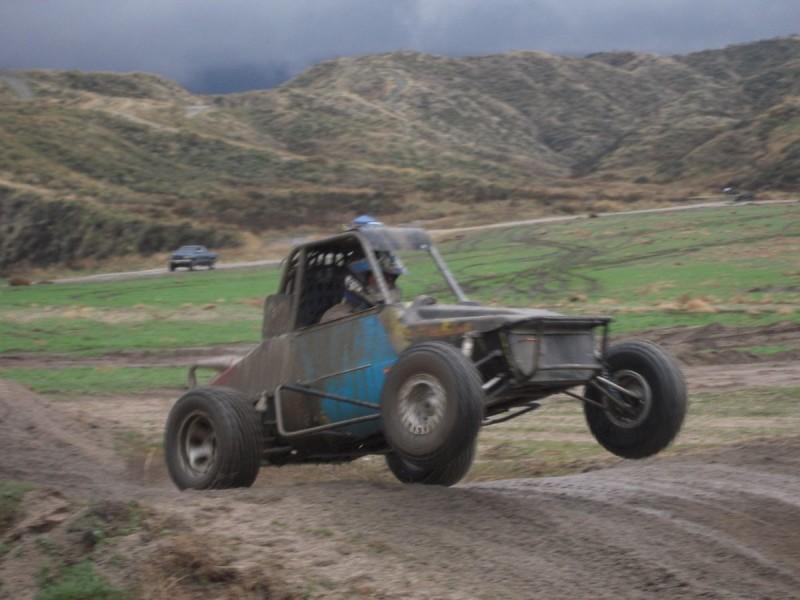 blue coyote.jpg