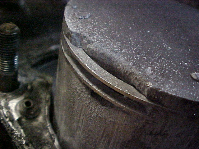 mvc_013f_448.jpg