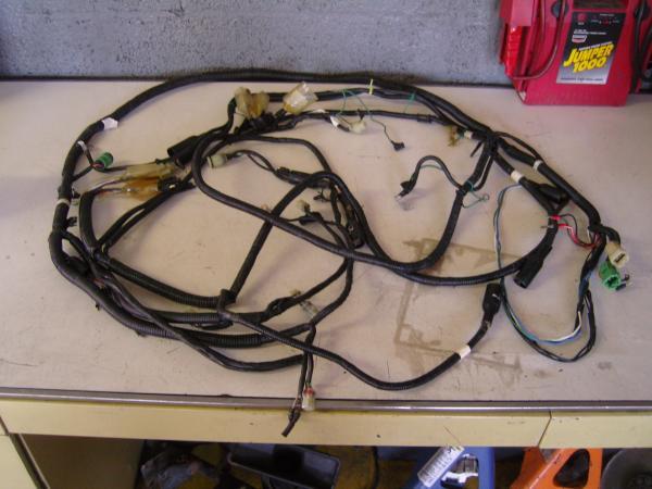SNC10207.JPG