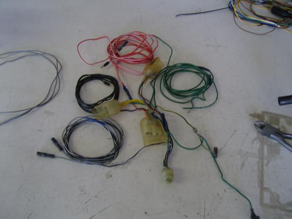 SNC10209.JPG