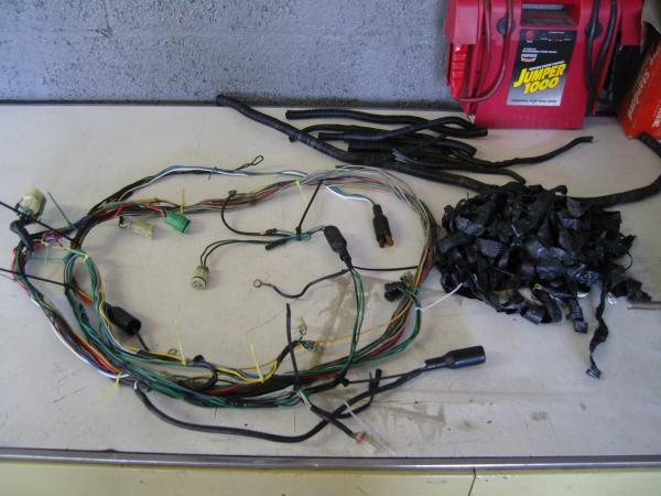 SNC10208.JPG