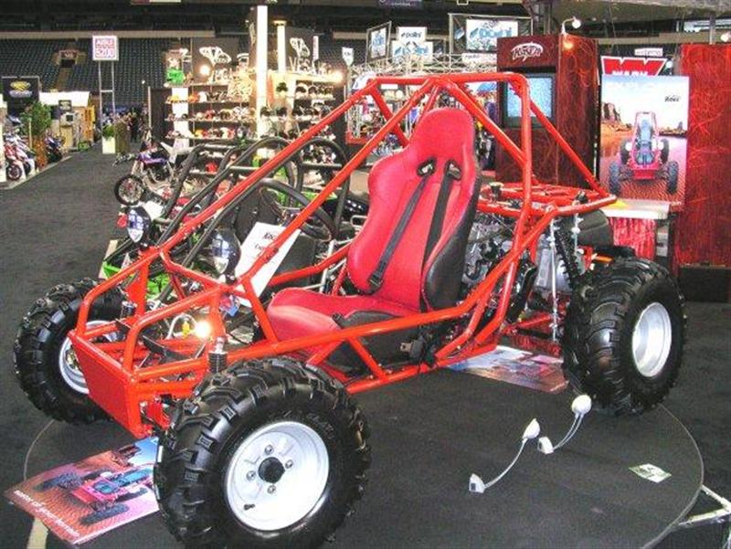 exp250buggy3.jpg