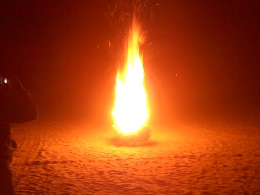 One xmas tree we burned.jpg