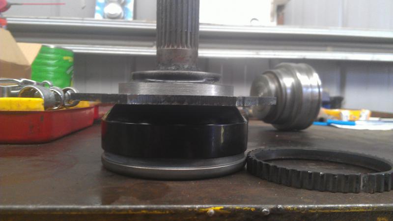 IMAG0145.jpg