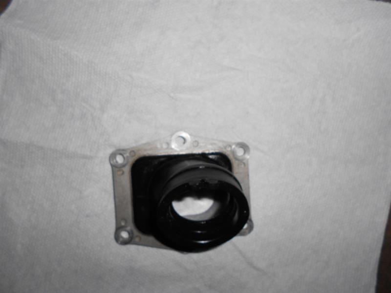 DSCN0294.jpg