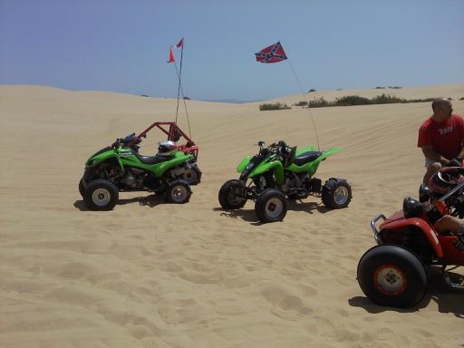 12 Kawi in the dunes.jpg