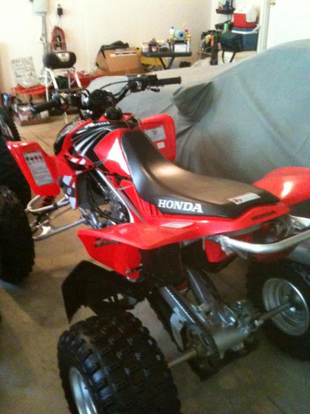 trx450r.jpg