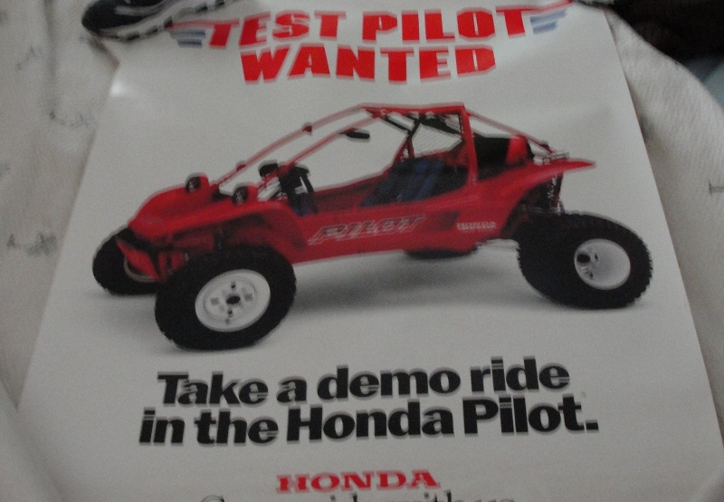 pilot poster1.JPG