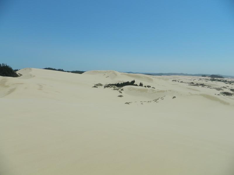 dunes 7-6-12 024.JPG