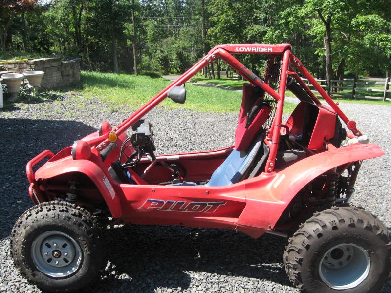 Ants Buggy 019.JPG