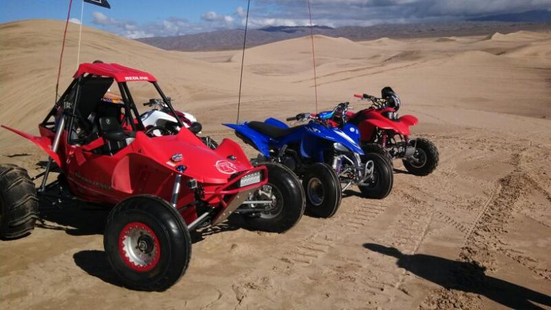 6 Out in the dunes.jpg