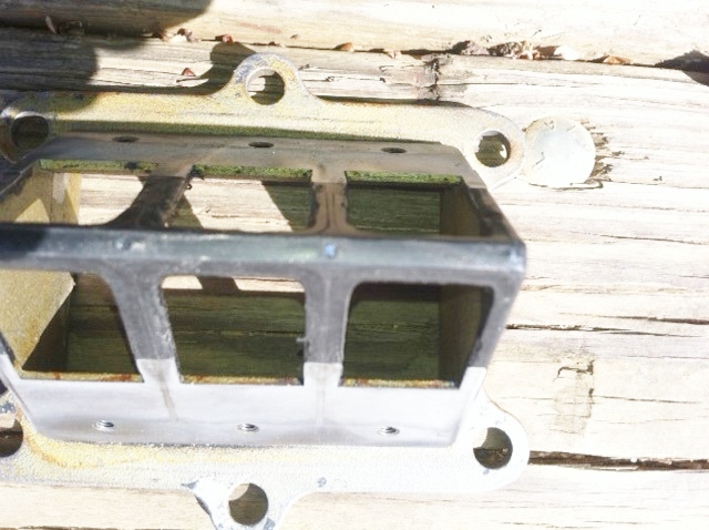 cage 1.JPG