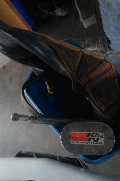 buggy 5.jpg
