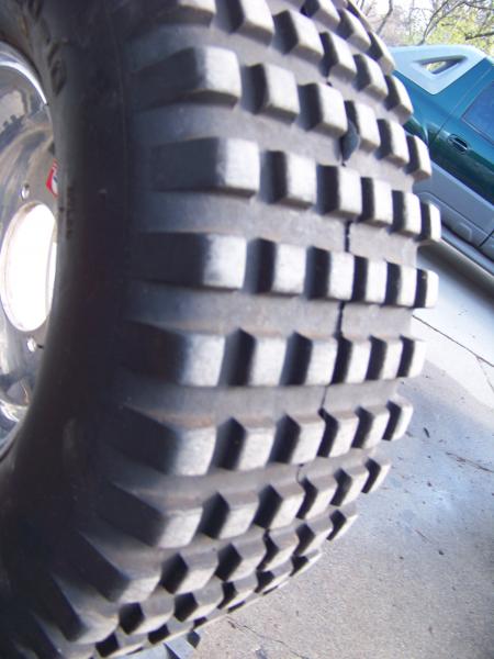 100_5009.JPG