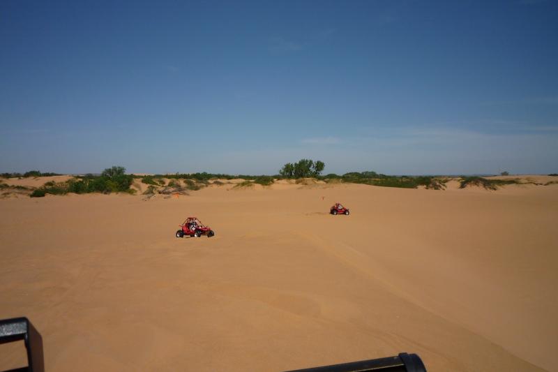 P1000241.JPG