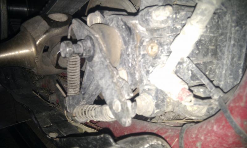 IMAG0169.jpg