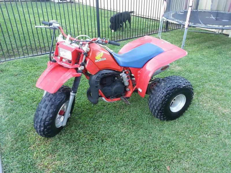 trike1.jpg