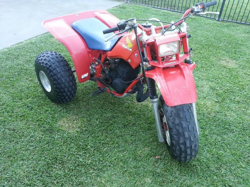 trike2.jpg