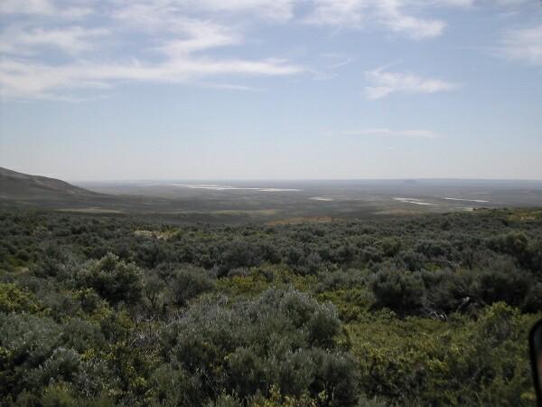 east of dunes.jpg