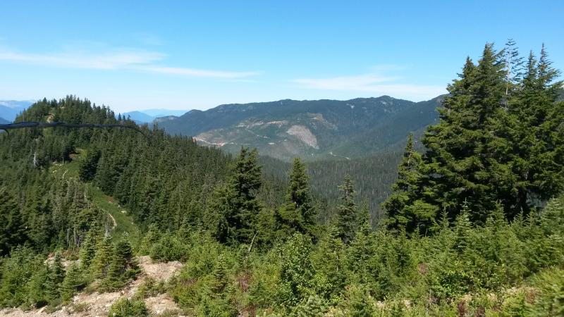 20150730_134126.jpg