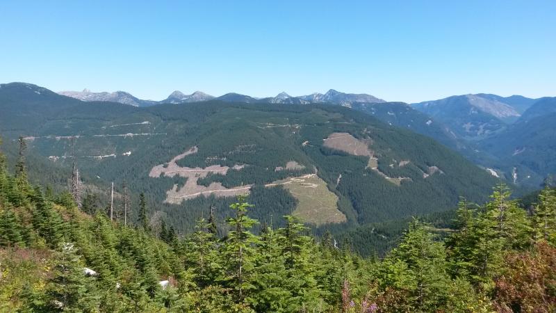20150730_140525.jpg
