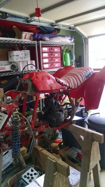 trx 250r rebuild 051.jpg