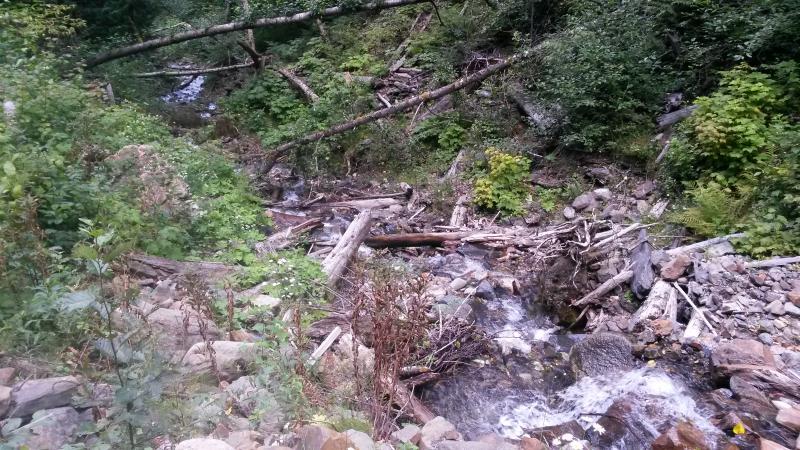 20160811_145120.jpg