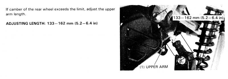Upper arm.jpg