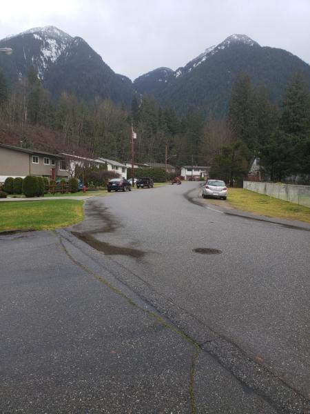 Resized_20190104_124149.jpeg