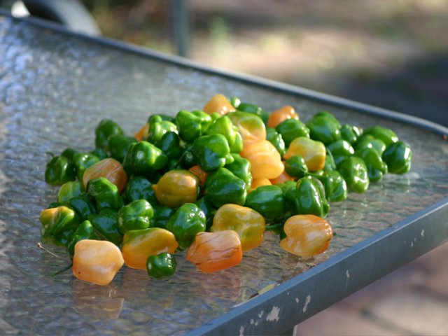 peppers.jpg