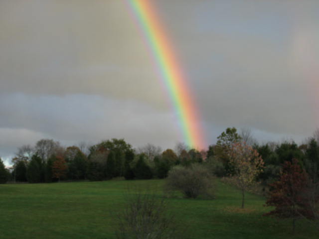 rainbow 001.jpg