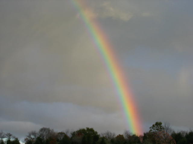 rainbow 003.jpg