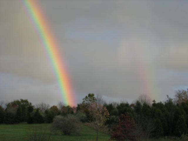 rainbow 002.jpg