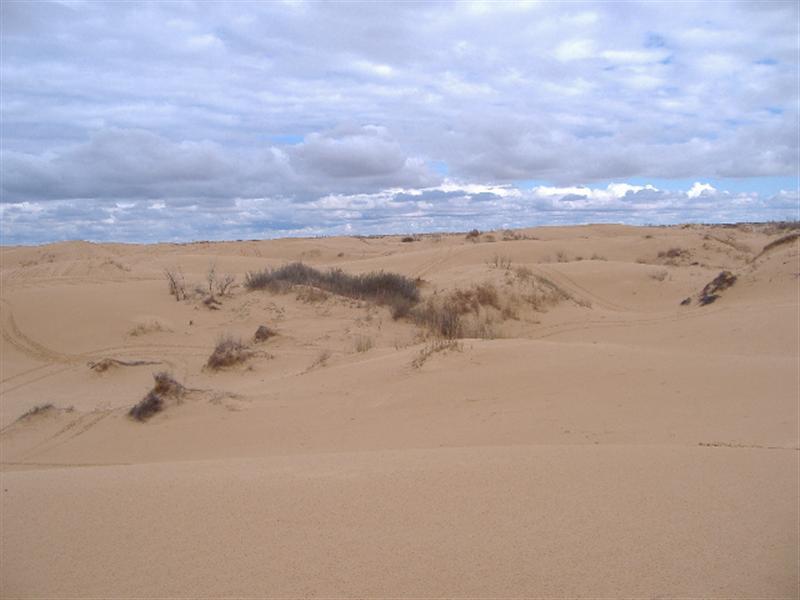 kermit dunes008.JPG