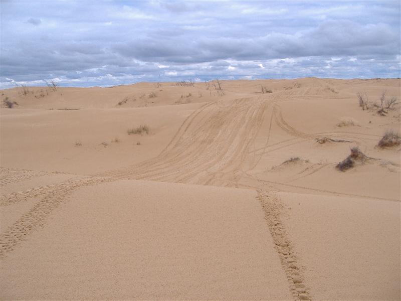 kermit dunes009.JPG