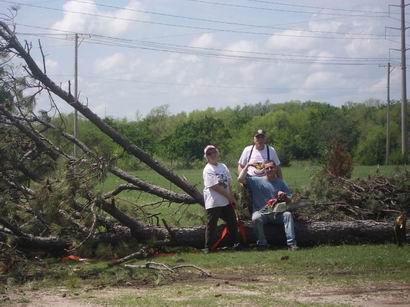Resize of tree 87th -07 010.JPG