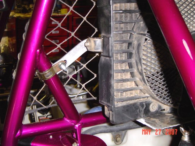 purple 350 pics 018.jpg