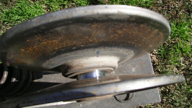 SL551671.JPG